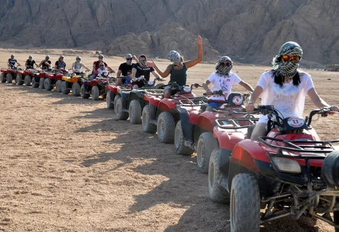 Quady Safari