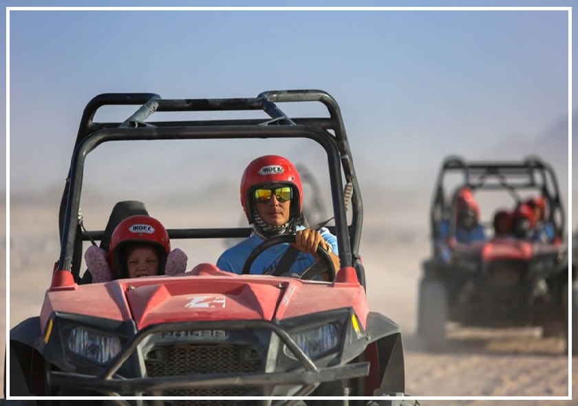 Buggy Safari