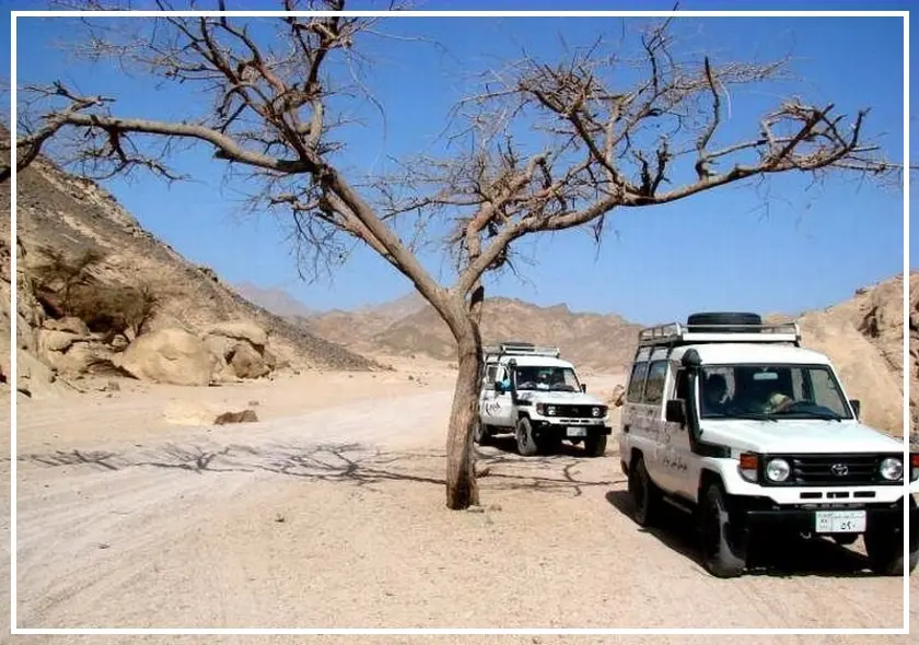 Safari Jeep z Marsa Alam — wycieczka z Marsa Alam