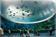 Grand Aquarium - Image 3